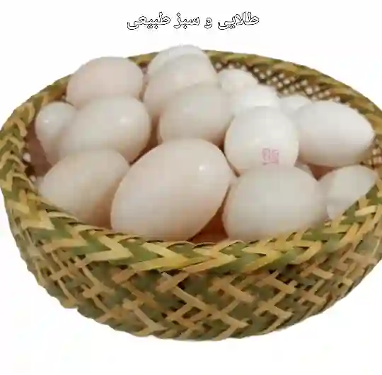 سبد حصیری بامبو پذیرایی بافت خورشیدی متوسط کد8