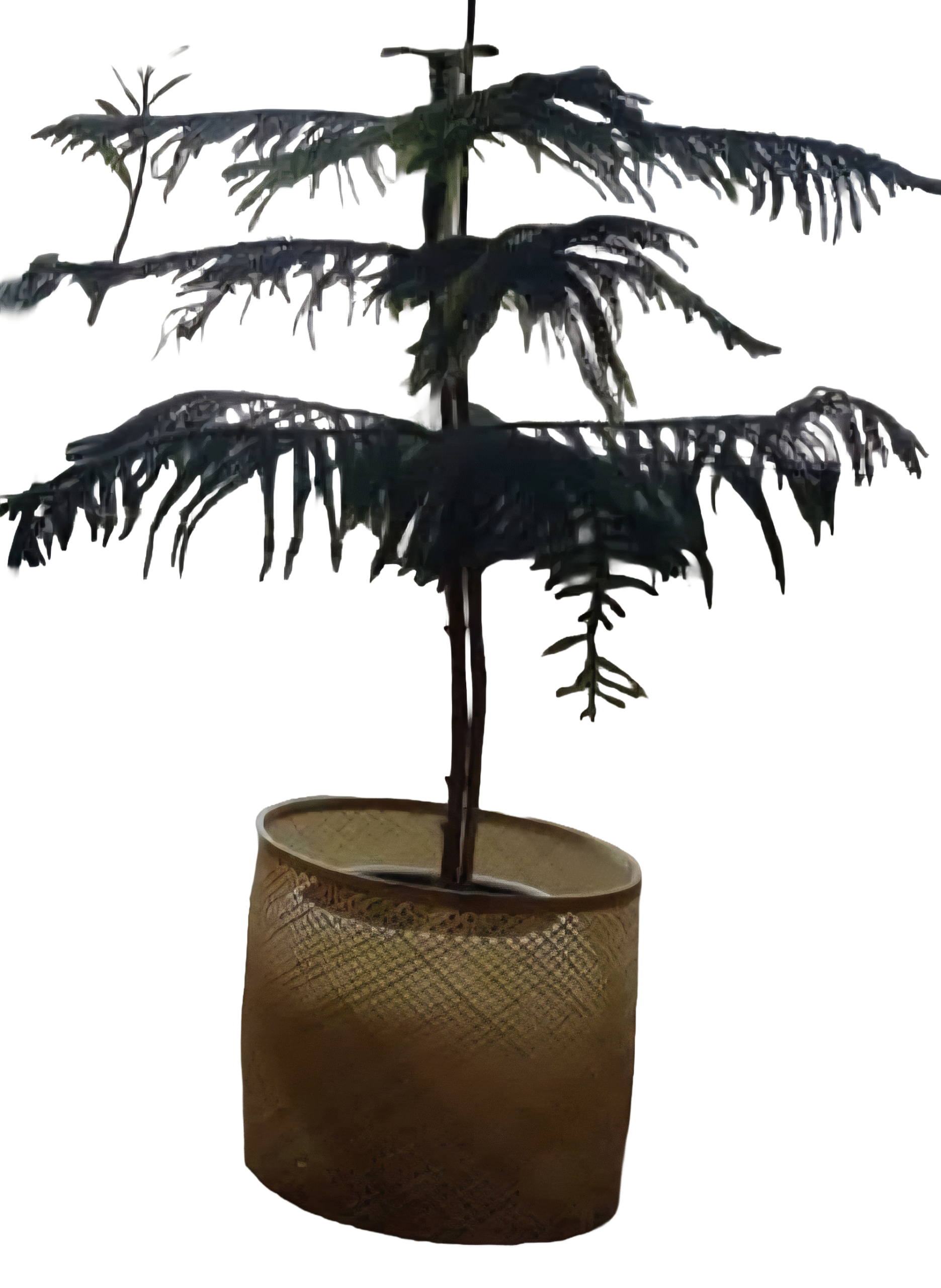 گلدان بافت خورشیدی نوار نازک