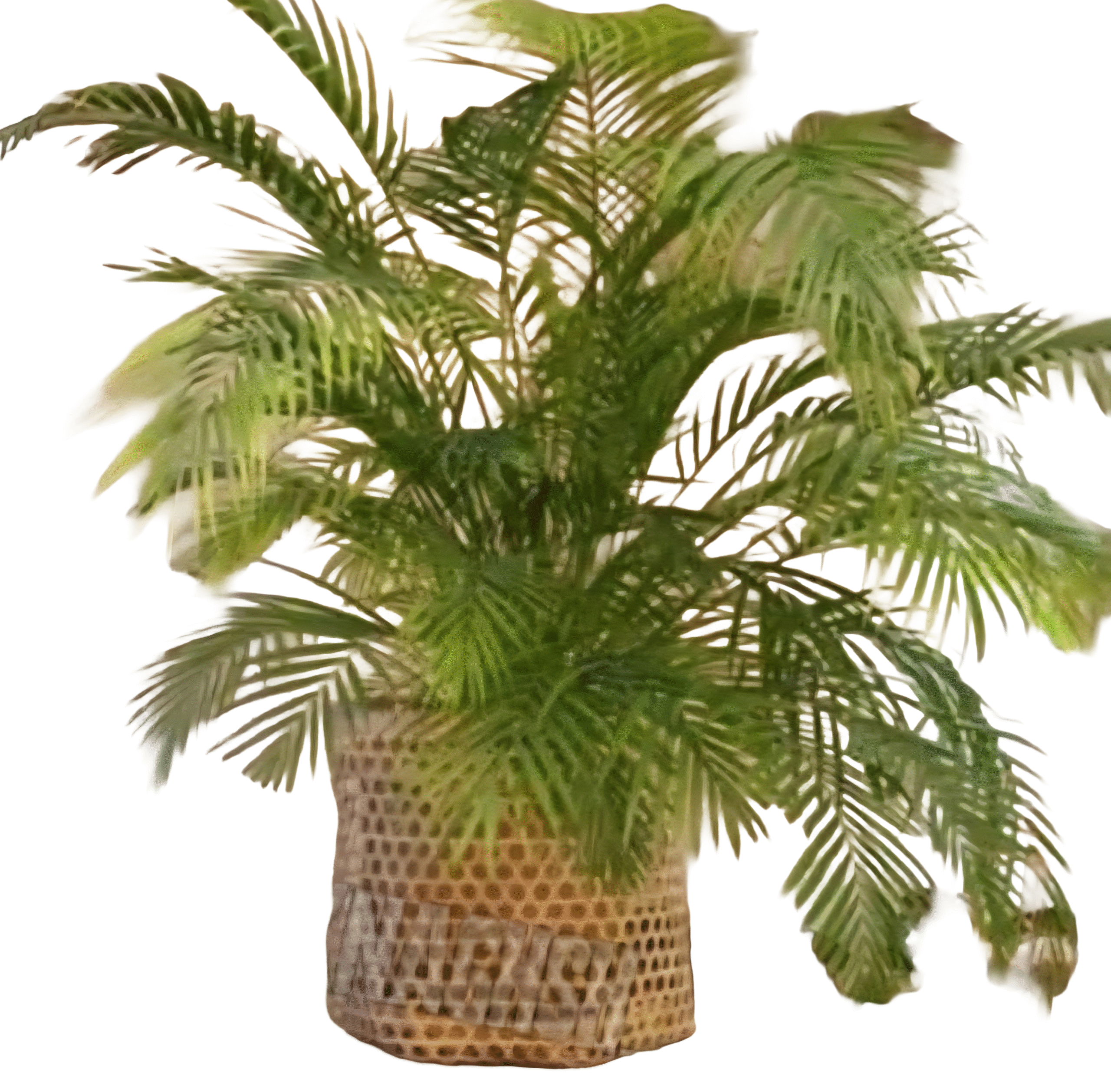 گلدان بافت لانه زنبوری