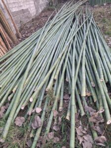 لوله خام 1.5 متری قطر بزرگ کد 172