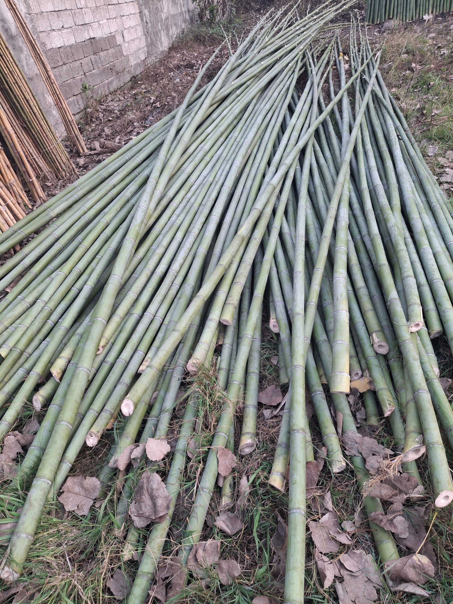 لوله خام 1.5 متری قطر بزرگ کد 172