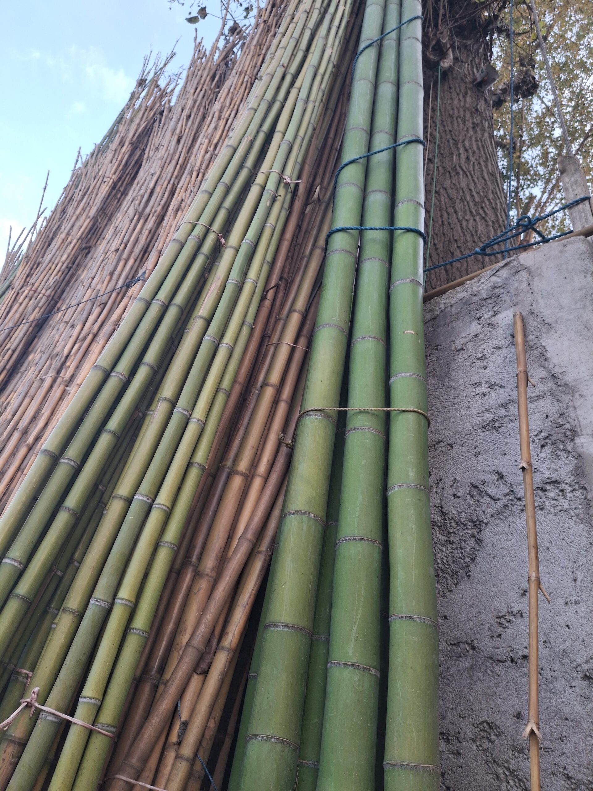 لوله خام 1.5 متری قطر بزرگ کد 172